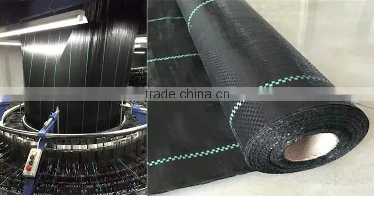 PP woven weed control mat