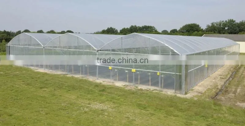 low cost Polyethylene Film greenhouse for vegetables