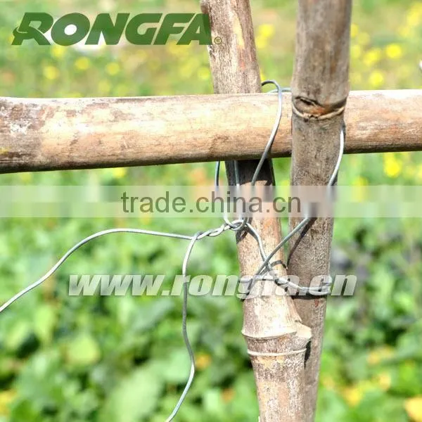 factory supply coiled round galvanized binding iron wire