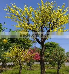 blue cheap artificial blossom tree/indoor decor led trees for christmas