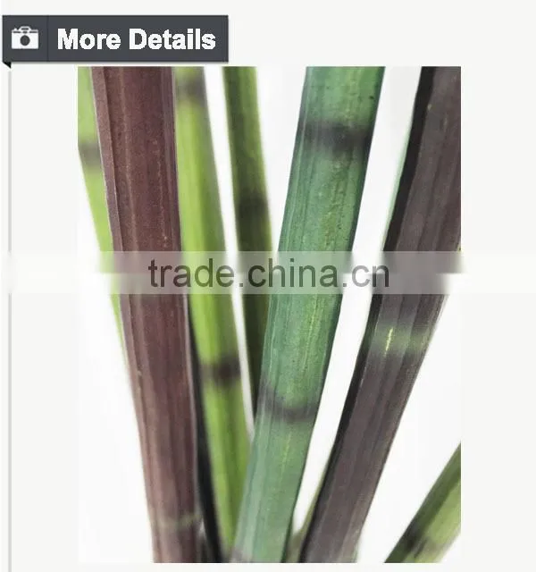 Manufacturing maguey garden decoration indoor decoration handmade plant for sale