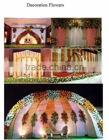 cheap Fresh cut FlowersJasmine