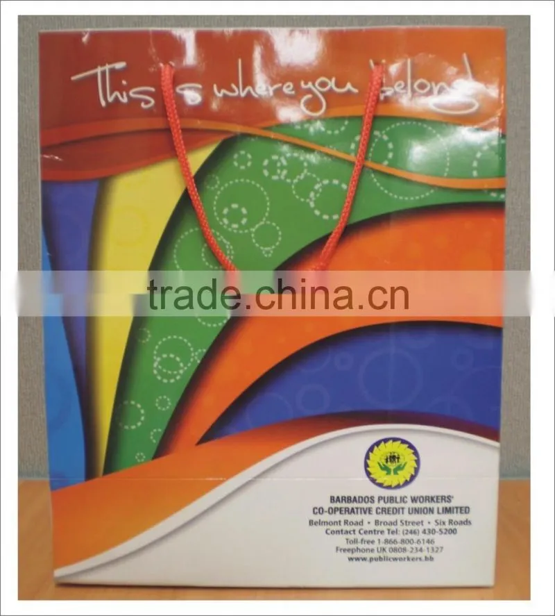 Paper Bags with new Designs / logo printed paper bags