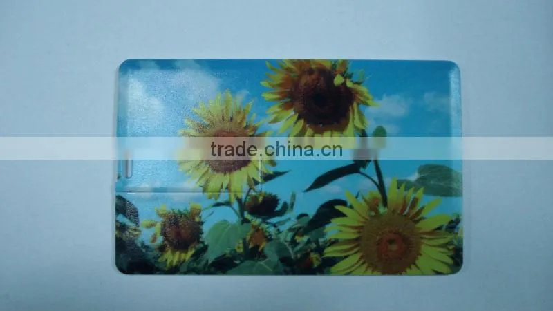 mini card USB Flash Drive with full color printing