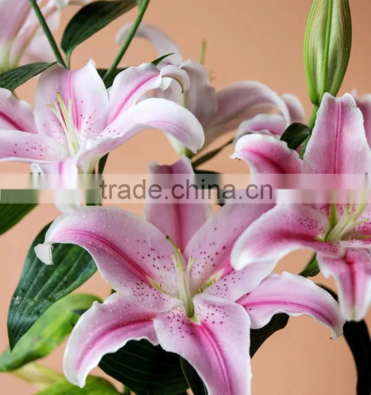 Fashionable Tiber natural pink fresh lily
