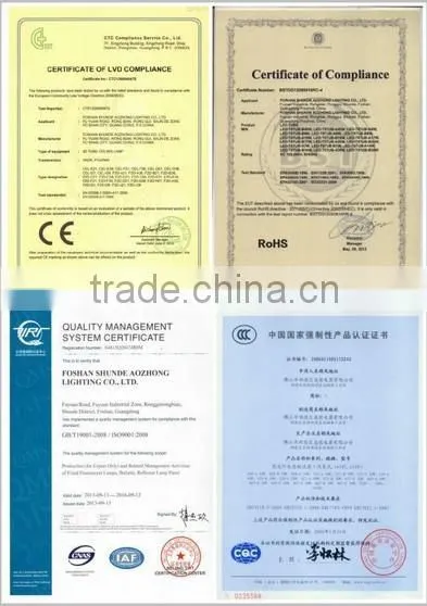 Experienced export standard decorative durable 40W super-quiet inductance lamp fixture with ballast used for store or hospital