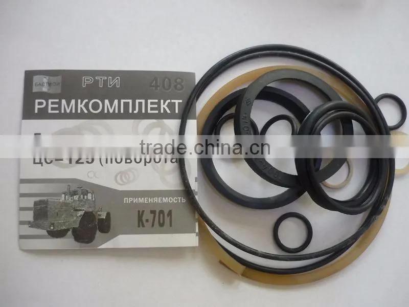 Russia superior automobile fuel injection pump repair kits