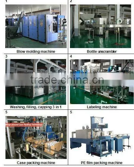 auto PET bottle return machine