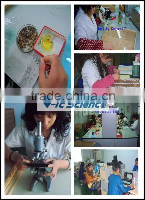 medical survey biological dentall pathology prepared slides