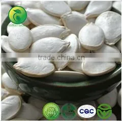 NON GMO Sunflower Seeds/Sunflower Seeds Kernel/Salted Sunflower Seeds