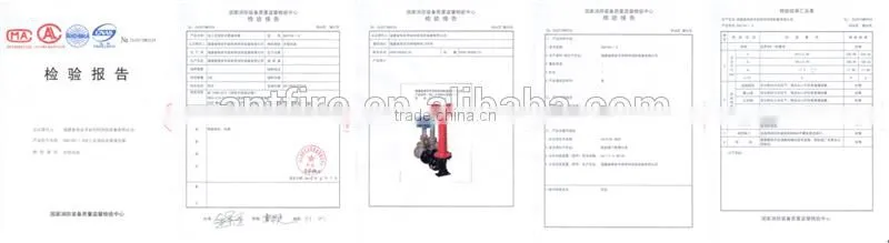 Factory Price for Landing Fire Pump Adapter SQS100-1.6