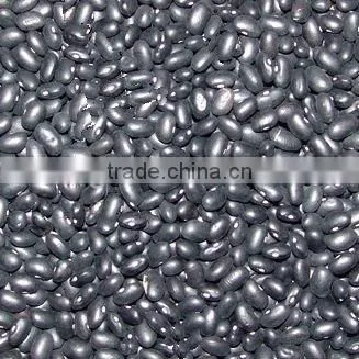 kidney beans