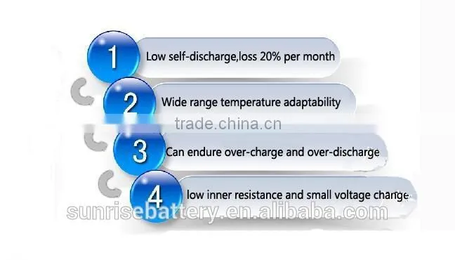 9.6V AA600 NI-CD rechargeable battery pack