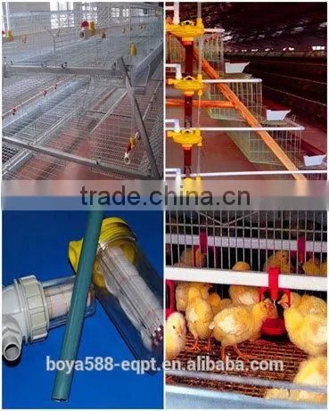 economic broiler chicken cage