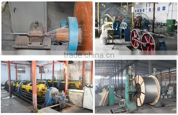 Hot! Aluminum Conductor AAAC with None Insulation Material