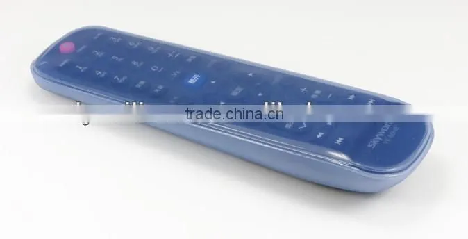 remote controller case