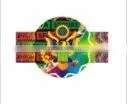security hologram label