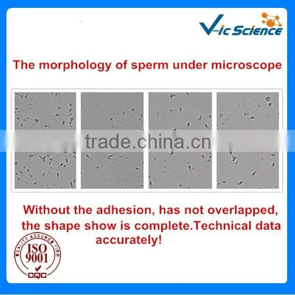 Disposable sperm counting chamber