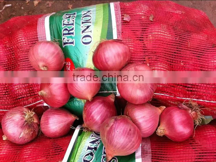 fresh onion on sale in this hot season before new year with high quality and reasonable price