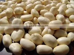 Peanut Exporters