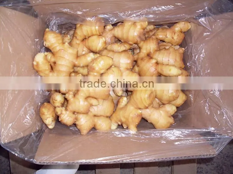 good quality fresh ginger