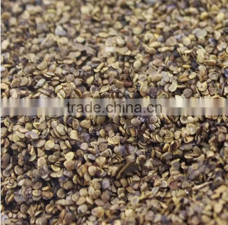 Raw Wild Black Goji seeds for planting Organic goji berry seeds