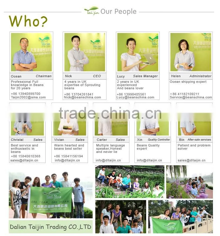 Export Various green mung beans specification ,grade a green mung bean sprout