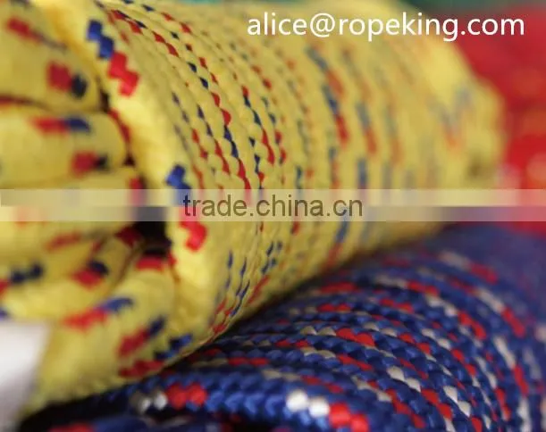 Twisted Rope Plastic Rope