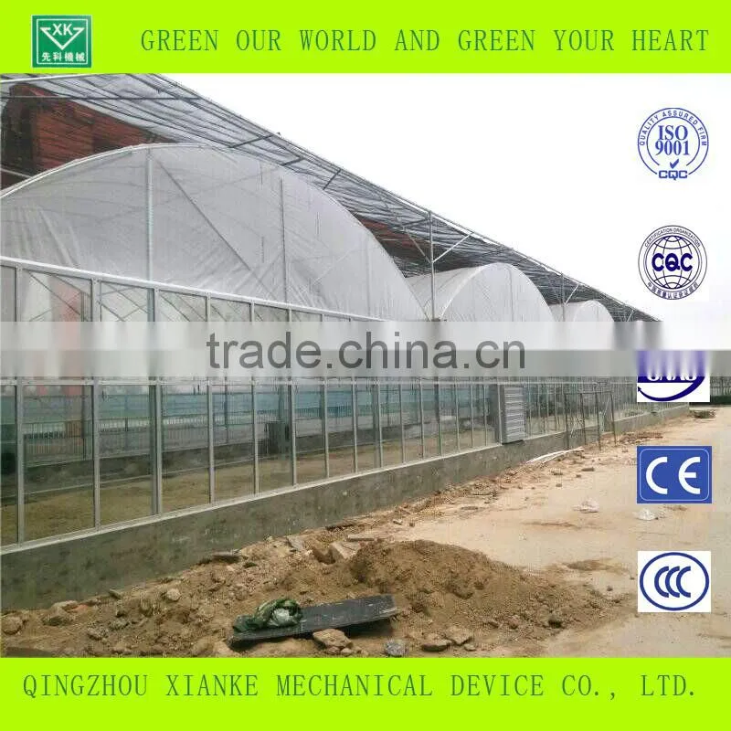 Multi-Span Commercial Agricultural Greenhouse sales