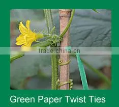 8mmx 350m Bio Double Wire Twist Tie