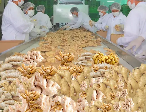 Ginger Juice Processing Line, Ginger Beater, Ginger Tea Ginger Powder Processing Line Ginger Peeler