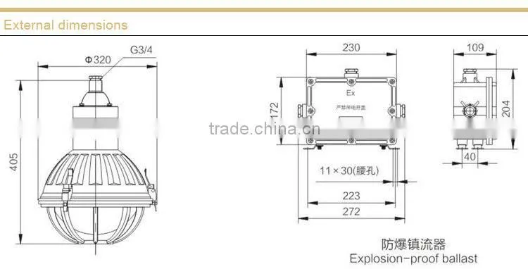 BAD51-G Stainless Steel Explosion proof Light