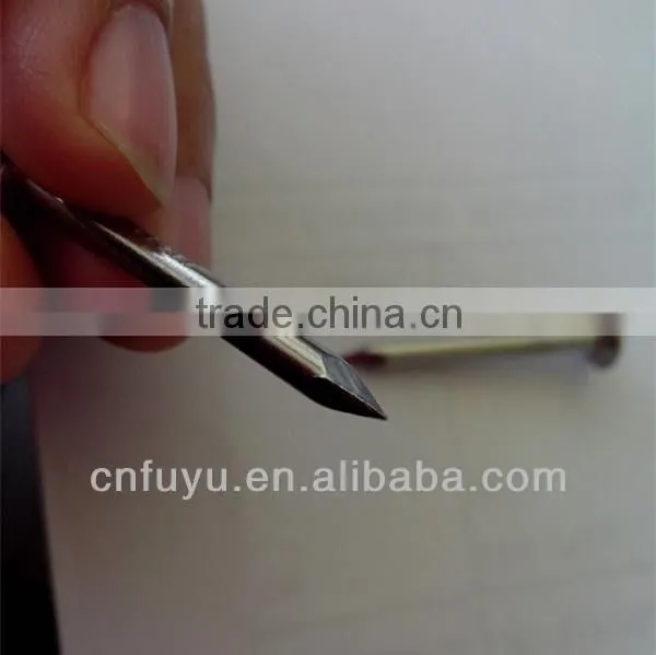 zinc plated clout nail for ceiling factory of linyi shandong
