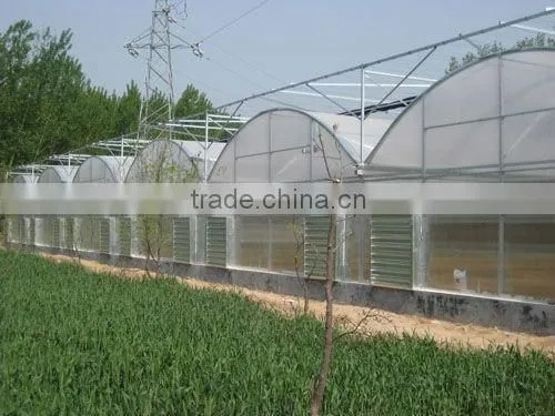 galvanized steel frame greenhouse