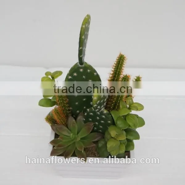 New arrival decorative artificial plants/ succulent plants mixed series
