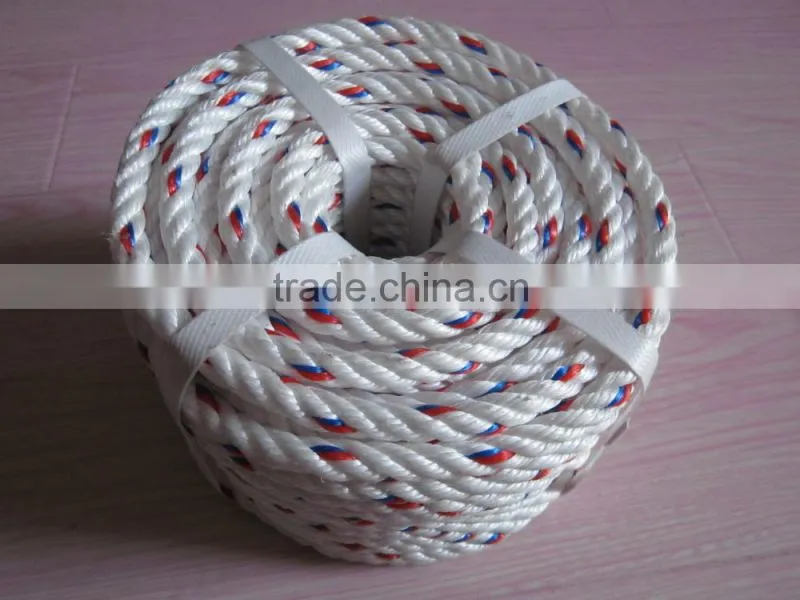PP DANLINE ROPE