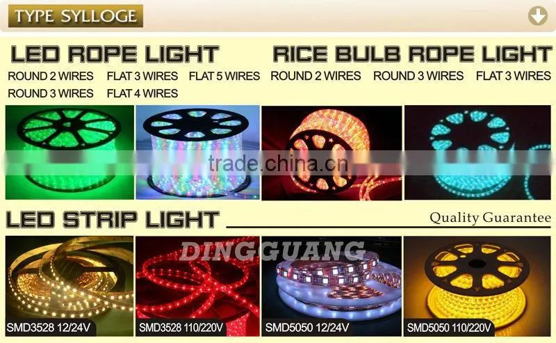 50M LED Flex Neon White Neon Flex 110V/240V