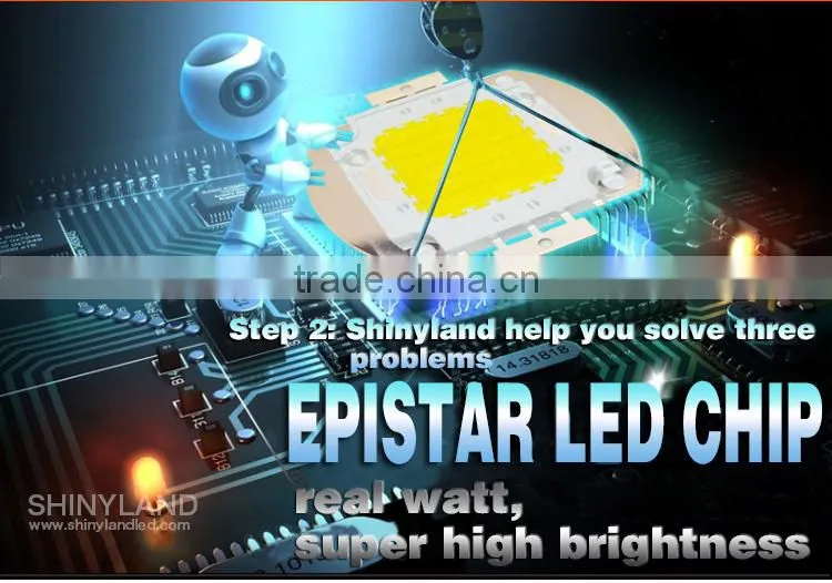 Russian distributors wanted 10w led floodlight housing with low price