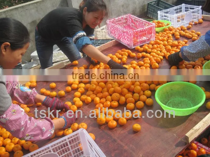 Mandarin Orange