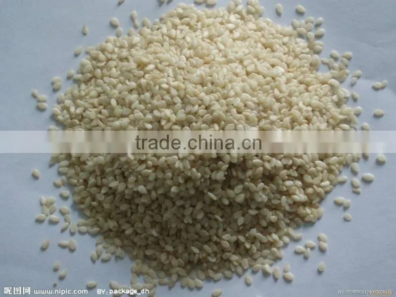 rice bran oil expeller,extraction press machine