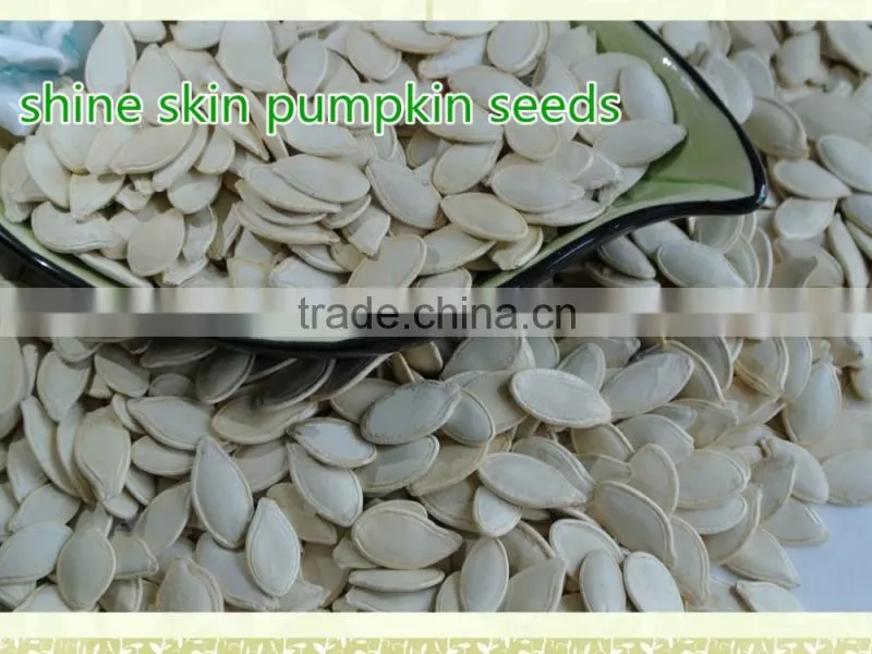 Shine Skin Pumpkin Seeds different types of seeds--East Dawn
