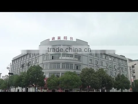 Jinhua Dilly Luggage Co., Ltd. company overview - view 1