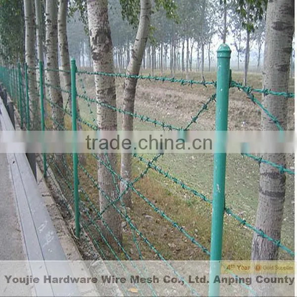 Galvanized Barbed Wire Mesh (peofessional factory ISO9001)