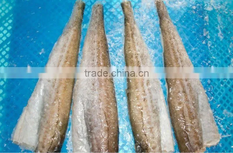 frozen Pacific hake fillet