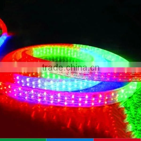 outdoor building projection lighting 110V led flexible hose light