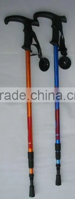 Nordic Walking Stick