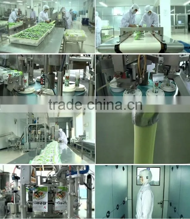 wasabi paste from orginal factory