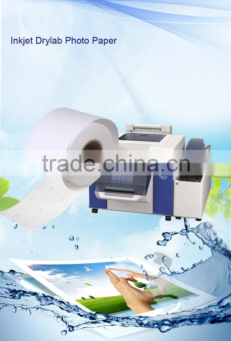 Drylab photo paper,8"x100m for Epson D3000