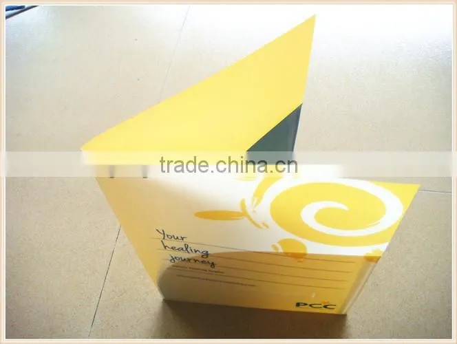 2014 Shenzhen Supplies Hight Quality Plastic Expandable File Folders