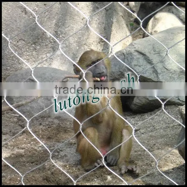Anping aviary mesh for animal protection